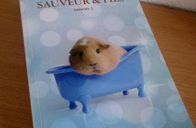 Sauveur&Fils, saison 1-Marie-Aude Murail.