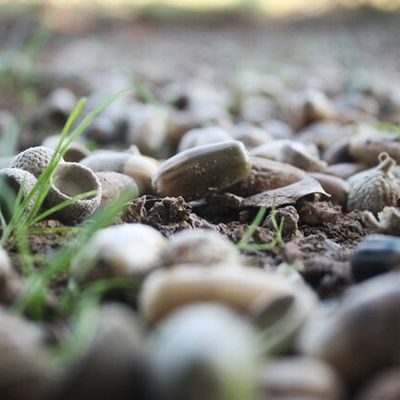 On préfère l'automne !