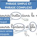 Pour une séquence sur phrase simple et phrase complexe