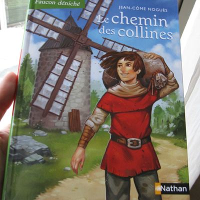 Le chemin des collines - Jean-Côme Noguès