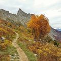 Couleurs d'automne au Col Vert (Vercors)