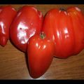 Drôles de tomates