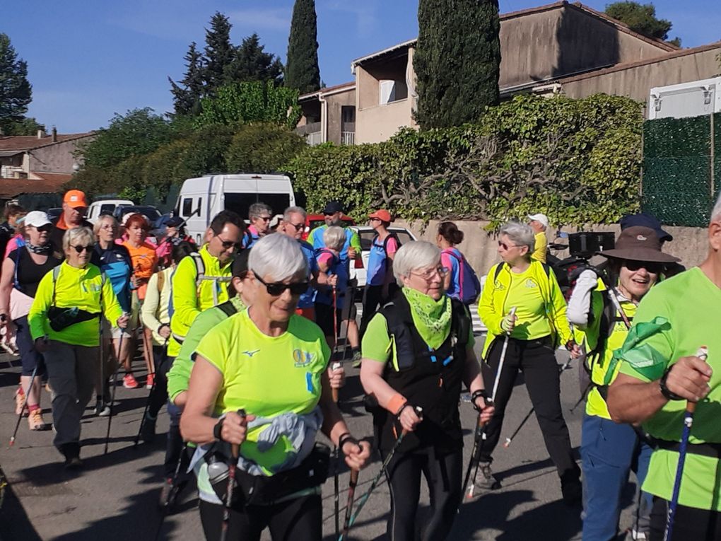 Faites défiler les photos à l'aide de la flèche