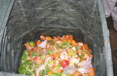 Le compostage : faire du terreau avec nos déchets