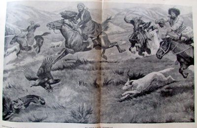 Chasse aigle contre renard 1914 illustration ancienne sp20