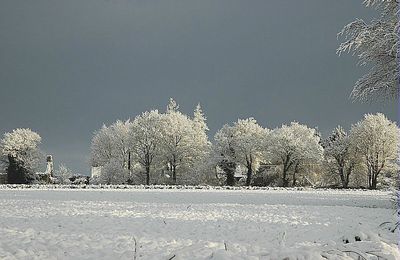 Tombe la neige.....