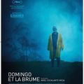 [CRITIQUE] Domingo et la brume : un voyage rare et tendre au Costa Rica 