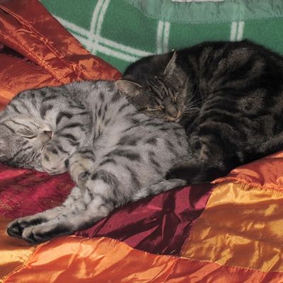 Essai 26/02/2024 avec nouvelle configuration