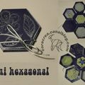 Mini-album hexagonal