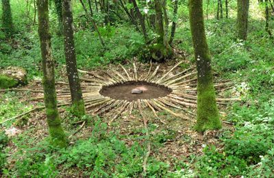 Festival Daw de Danses - land art