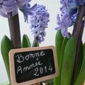 Bonne Année 2014 !