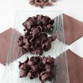 Crispie chocolat chocapic