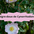 03/2 Aigre-Doux de Cynorrhodons