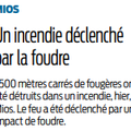 Feu de fougères