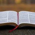 Reprise des rencontres Bible : "La Parole en Parabole" 