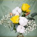 Mes fleurs du dimanche