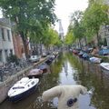 Wervicq et les canaux d'Amsterdam