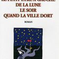 LE PETIT ÊTRE A GAUCHE DE LA LUNE, LE SOIR, QUAND LA VILLE DORT