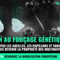 Ne laissons pas les abeilles, les papillons et tous les insectes sauvages devenir la propriété des multinationales !