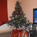 Romain 15:13    mon beau sapin 