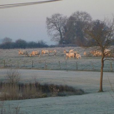 Neige à Kergéraud