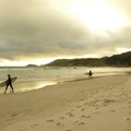 3 jours dans le Prom (Wilson Promontory Park)