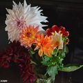 Les derniers dahlias de l'année en bouquet