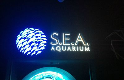 S.E.A Aquarium