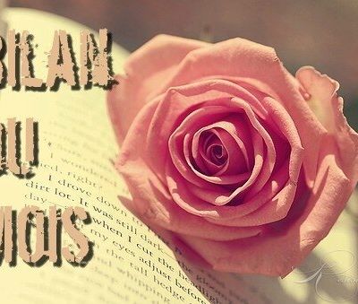 Bilan d'octobre 2017