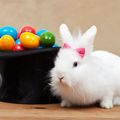 Le Lapin de Pâques 2025 de Caro38