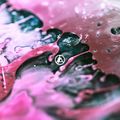 From Zeo : le retour plus que réussi de Linkin Park