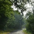 Promenade dans les Hauts de France 