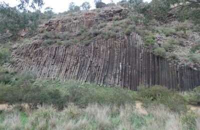 organ pipes