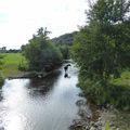 Chevaux près de la rivière