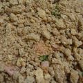 Crumble Brocolis-Chèvre-Jambon