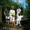 Port Louis, sa mangrove et ses moustiques