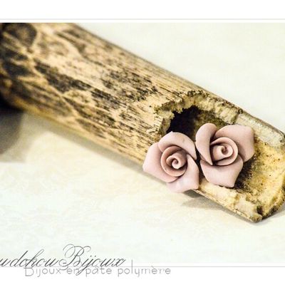 Petites boucles d'oreilles