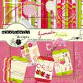 Scrapfamily Design : c'est parti !