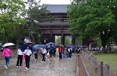 Erebos Reiwa Tour 47 - Nara sous la pluie