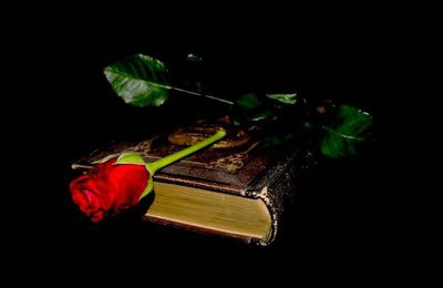 Le livre et la rose...