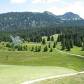 UN TOUR D'ALPES : le plateau des Glières (74)