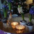 les jacinthes de Noël