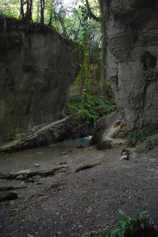 Combe du Grenand - Cascades (73)