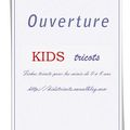 Ouverture de la boutique Kids Tricots