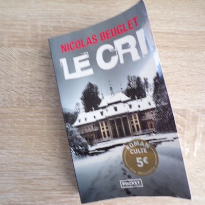 Mes lectures : Le Cri de Nicolas Beuglet