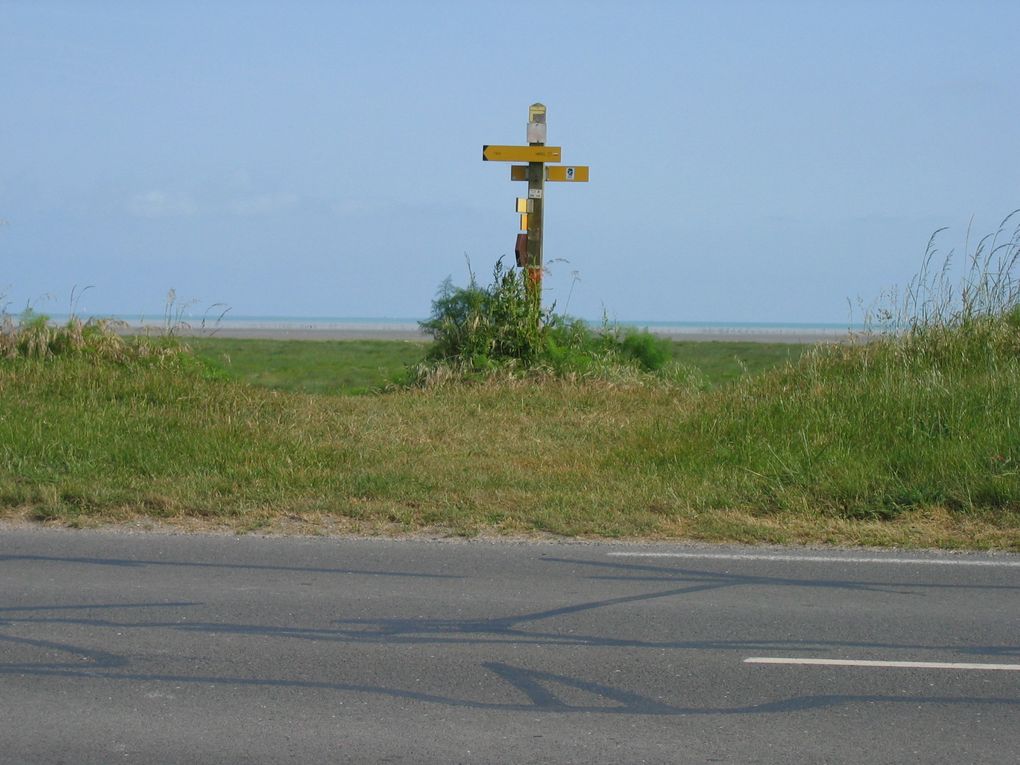 normalement avec les flêches vous ne devriez pas vous perdre