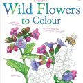 WILD FLOWERS TO COLOUR