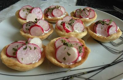 Tartelettes au Philadelphia concombre/féta, radis, sel et persil.