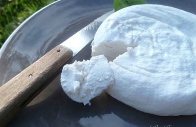 Fromage de chèvre frais facile