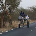 Sénégal (2)